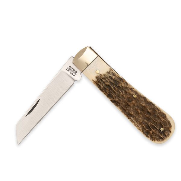 3 1/2" Lambfoot - 71mm Blade - Stag Antler Handle