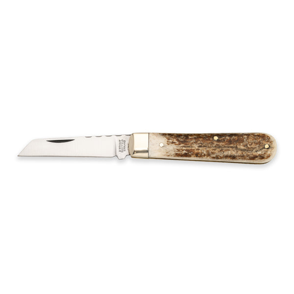3 1/2" Lambfoot - 71mm Blade - Stag Antler Handle with Traditional Workback