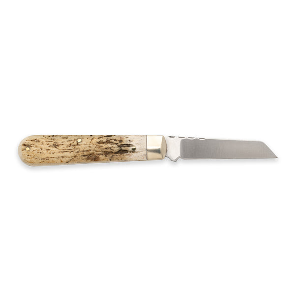 3 1/2" Lambfoot - 71mm Blade - Stag Antler Handle with Traditional Workback