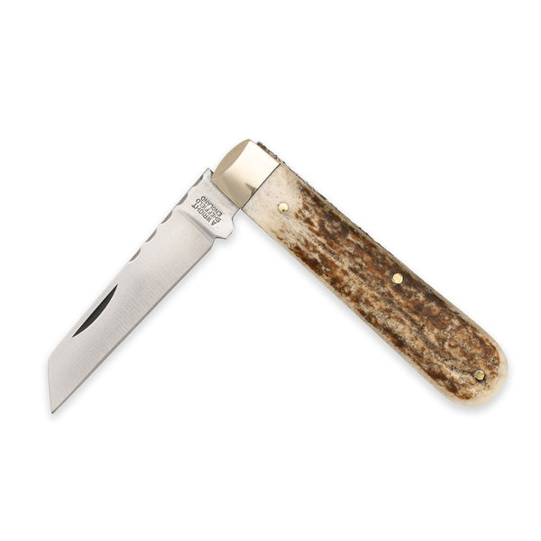 3 1/2" Lambfoot - 71mm Blade - Stag Antler Handle with Traditional Workback