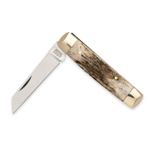 Senator - 71mm Blade - Stag Antler Handle