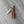 Clip Point - 55mm Blade - Hardwood Handle