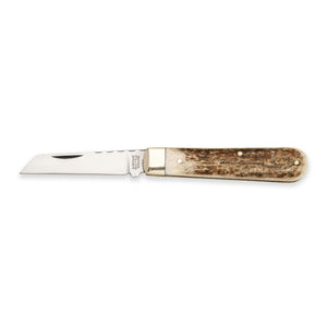 3 1/2" Lambfoot - 71mm Blade - Stag Antler Handle with Traditional Workback
