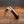 Barlow - 55mm Blade - Amboyna Burr Handle