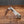 Barlow - 55mm Blade - Mother of Pearl Handle