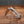 Barlow - 55mm Blade - Mother of Pearl Handle with Traditional Workback