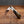 Barlow - 55mm Blade - Ox Horn Handle
