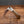 Barlow - 55mm Blade - Rams Horn Handle with Traditional Workback