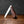 Lambfoot - 63mm Blade - Amboyna Burr Handle