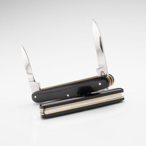 Penknife - Twin Blade - Buffalo Horn Handle