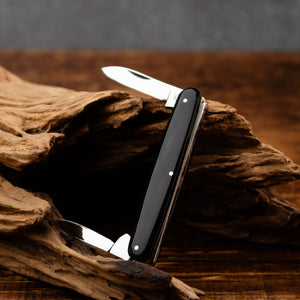 Penknife - Twin Blade - Buffalo Horn Handle