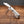 Twin Blade Barlow - 55mm Clip & Pen Blades - Mother of Pearl Handle