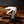 Twin Blade Barlow - 55mm Clip & Pen Blades - Ox Horn Handle