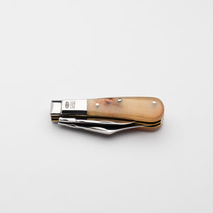 Twin Blade Barlow - 55mm Clip & Pen Blades - Rams Horn Handle with Traditional Workback