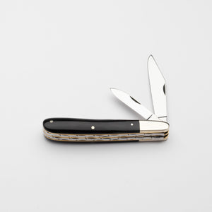 Twin Gentleman's Clip Point - 67mm Clip & Pen Blades - Buffalo Horn Handle with Traditional Workback