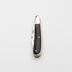 Twin Gentleman's Clip Point - 67mm Clip & Pen Blades - Buffalo Horn Handle with Traditional Workback