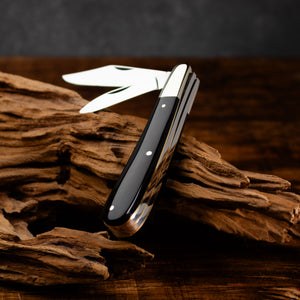 Twin Gentleman's Clip Point - 67mm Clip & Pen Blades - Buffalo Horn Handle