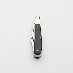 Twin Gentleman's Clip Point - 67mm Clip & Pen Blades - Buffalo Horn Handle