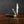 Twin Gentleman's Clip Point - 67mm Clip & Pen Blades - Desert Ironwood Handle with Traditional Workback