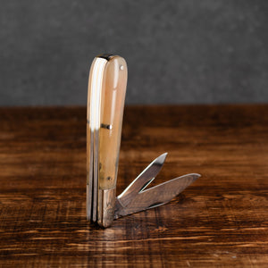 Twin Gentleman's Clip Point - 67mm Clip & Pen Blades - Rams Horn Handle